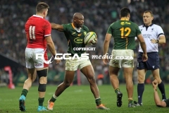 Bokke-vs-Wallis-29-Copy