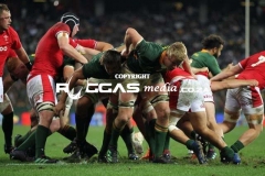Bokke-vs-Wallis-39-Copy
