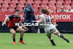 IMG_6025-Copy