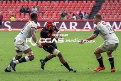 IMG_6044-Copy