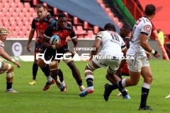 IMG_6224-Copy