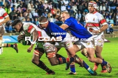 untitled-29-Copy