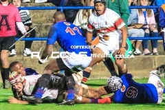 untitled-30-Copy