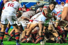 untitled-40-Copy