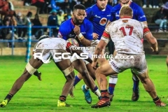 untitled-41-Copy