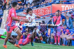 untitled-23-Copy