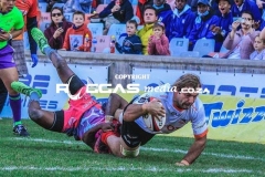 untitled-43-Copy