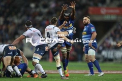 Stormers-vs-Bulls-27-Copy