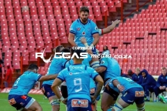 IMG_2211-Copy