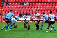 IMG_2293-Copy