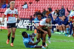 IMG_2303-Copy
