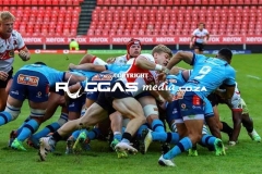 IMG_2342-Copy