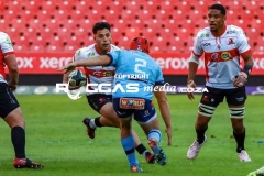 IMG_2379-Copy