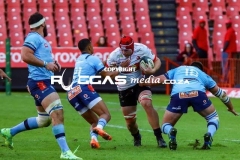 IMG_2413-Copy