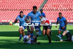 IMG_4377-Copy