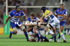 Stormers-vs-Clermont-25-Copy