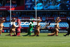 IMG_0539-Copy