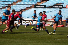 IMG_0567-Copy