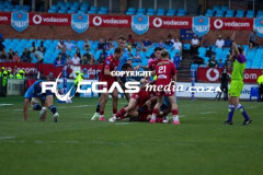IMG_0713-Copy