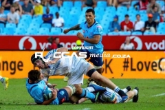 IMG_5960-Copy