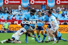 IMG_5981-Copy