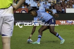 IMG_6036-Copy