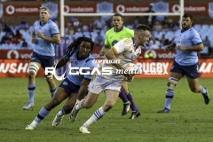 IMG_6118-Copy