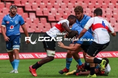 IMG_5668-Copy