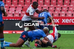 IMG_6018-Copy