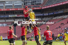 LioVsZrbR6-1-Copy