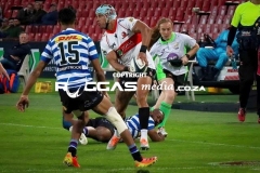 IMG_6501-Copy