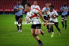 IMG_6509-Copy