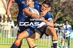 untitled-246-Copy