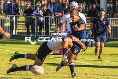 untitled-253-Copy