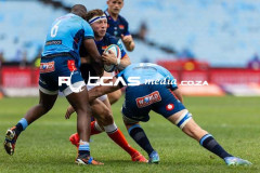 Bulls-VS-Edinburgh-25-Copy