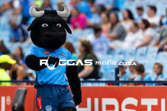 Bulls-VS-Edinburgh-29-Copy
