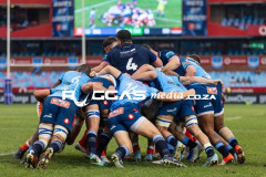 Bulls-VS-Edinburgh-32-Copy