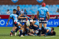 Bulls-VS-Edinburgh-33-Copy