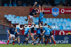 Bulls-VS-Edinburgh-39-Copy