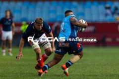 Bulls-VS-Edinburgh-43-Copy