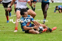 DSC_1163-01_compress2