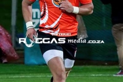 IMG_6489-Copy