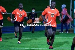IMG_6503-Copy