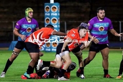 IMG_6540-Copy