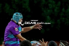 IMG_6553-Copy