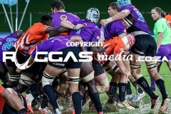 IMG_6589-Copy