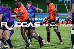 IMG_6595-Copy