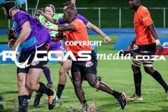 IMG_6596-Copy