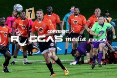 IMG_6695-Copy