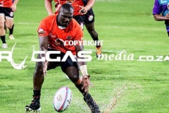 IMG_6715-Copy